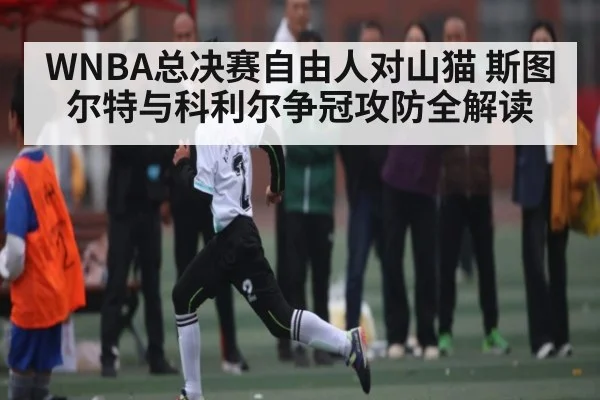 WNBA总决赛自由人对山猫 斯图尔特与科利尔争冠攻防全解读