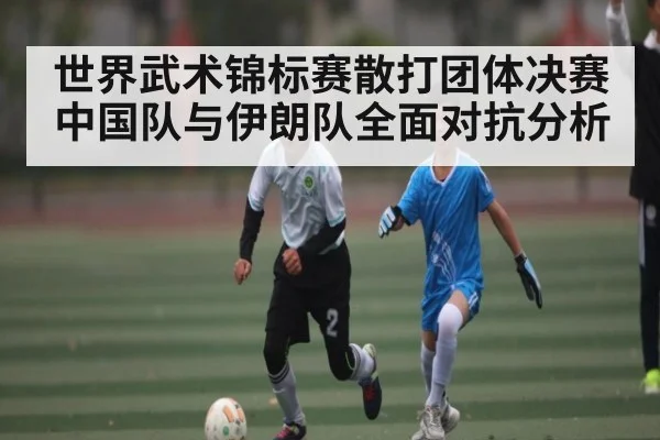 世界武术锦标赛散打团体决赛中国队与伊朗队全面对抗分析